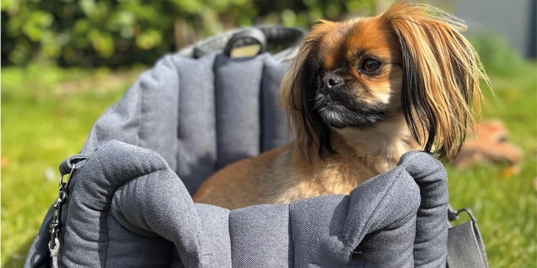 Draagtas Animal Boulevard lichtgrijs middelgrote hond